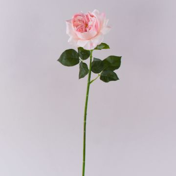 GINAKAL artificial rose, light pink, 65 cm