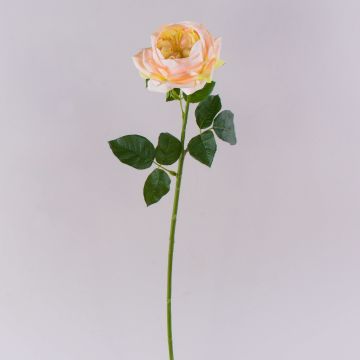 GINAKAL artificial rose, apricot, 65 cm GINAKAL artificial rose, apricot, 65 cm