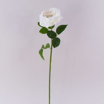 GINAKAL artificial rose, cream-white, 65 cm GINAKAL artificial rose, cream-white, 65 cm