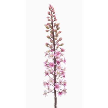 SCHENRA artificial prairie candle, pink, 95cm SCHENRA artificial prairie candle, pink, 95cm
