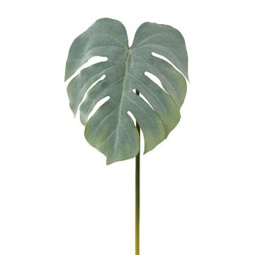 Decorative leaf Philodendron Monstera Deliciosa MELIAT, green-grey, 31"/80cm