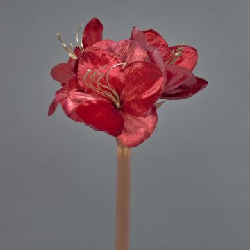 Velvet amaryllis decorative flower KIRSTY, red, 70cm, Ø13–15cm Velvet amaryllis decorative flower KIRSTY, red, 70cm, Ø13–15cm