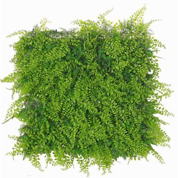 Decorative fern cypress hedge / mat DIANTA, crossdoor, 20"x20"/50x50cm Decorative fern cypress hedge / mat DIANTA, crossdoor, 20"x20"/50x50cm