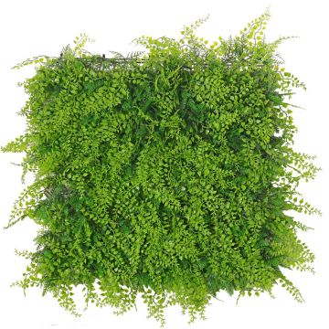 Decorative fern cypress hedge / mat DIANTA, crossdoor, 50x50cm Decorative fern cypress hedge / mat DIANTA, crossdoor, 50x50cm