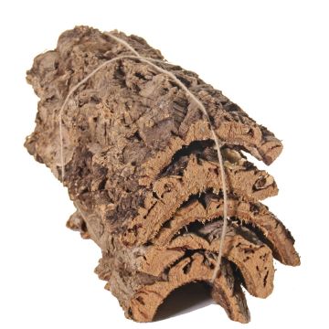 Natural cork bark pieces DIANTHA, 5 pieces, brown, 50x25cm