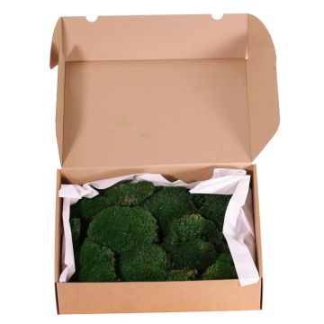 Real flat moss DIMITRA, green, 800g, 0.15 m²