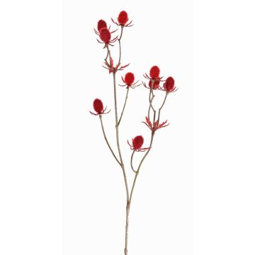 Plastic noble thistle LOUKAS, red, 18"/45cm, Ø0.4"-0.6"/1-1.5cm Plastic noble thistle LOUKAS, red, 18"/45cm, Ø0.4"-0.6"/1-1.5cm