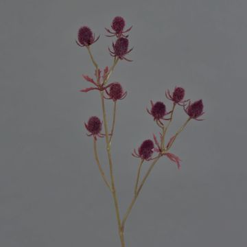 Plastic noble thistle LOUKAS, burgundy red, 45 cm, Ø 1–1.5 cm Plastic noble thistle LOUKAS, burgundy red, 45 cm, Ø 1–1.5 cm