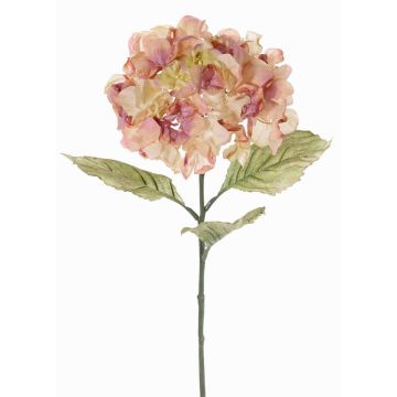 Decorative hydrangea URANIA, dried-look, antique pink-cream, 30"/75cm, Ø8"/20cm Decorative hydrangea URANIA, dried-look, antique pink-cream, 30"/75cm, Ø8"/20cm