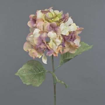 URANIA decorative hydrangea, dried-look, dusky pink and cream, 75 cm, Ø20 cm URANIA decorative hydrangea, dried-look, dusky pink and cream, 75 cm, Ø20 cm