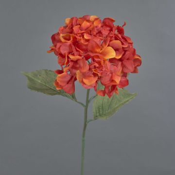 Decorative hydrangea URANIA, dried look, orange-red, 75 cm, Ø 20 cm Decorative hydrangea URANIA, dried look, orange-red, 75 cm, Ø 20 cm