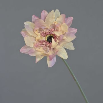 Artificial Gerbera PAMILLA, dusky pink and cream, 65 cm, Ø 12 cm Artificial Gerbera PAMILLA, dusky pink and cream, 65 cm, Ø 12 cm