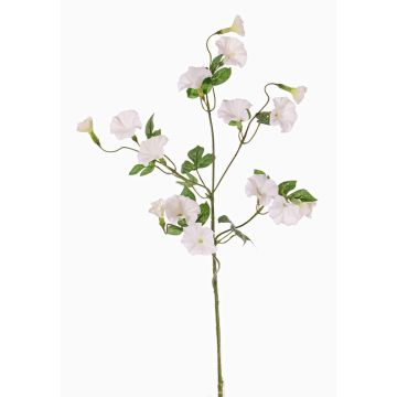Plastic trumpet vine IORDANIS, white, 31"/80cm, Ø1.2"-2.2"/3-5.5cm Plastic trumpet vine IORDANIS, white, 31"/80cm, Ø1.2"-2.2"/3-5.5cm