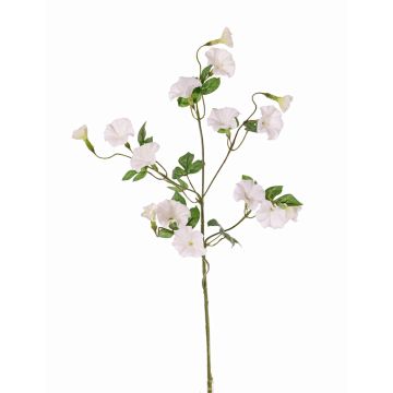 Plastic trumpet vine IORDANIS, white, 80 cm, Ø 3–5.5 cm Plastic trumpet vine IORDANIS, white, 80 cm, Ø 3–5.5 cm