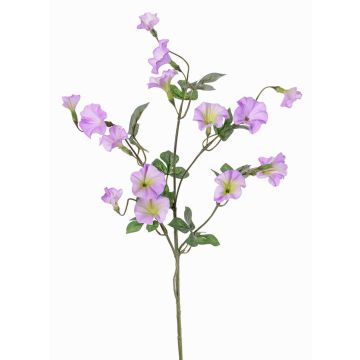 Plastic morning glory 'IORDANIS', purple-green, 31"/80cm, Ø1.2"-2.2"/3-5.5cm Plastic morning glory 'IORDANIS', purple-green, 31"/80cm, Ø1.2"-2.2"/3-5.5cm