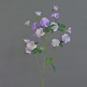 Plastic morning glory ‘IORDANIS’, purple-green, 80 cm, Ø 3–5.5 cm Plastic morning glory ‘IORDANIS’, purple-green, 80 cm, Ø 3–5.5 cm