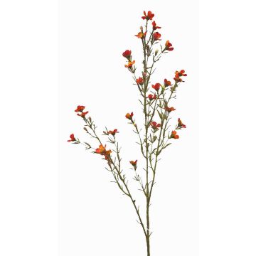 Faux wax flower NIANG, orange-red, 31"/80cm, Ø0.6"-1"/1.5-2.5cm Faux wax flower NIANG, orange-red, 31"/80cm, Ø0.6"-1"/1.5-2.5cm