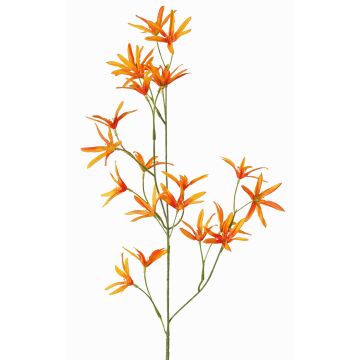 Decorative flower branch Tweedia solanoides PALLAS, orange, 28"/70cm, Ø2"/5cm Decorative flower branch Tweedia solanoides PALLAS, orange, 28"/70cm, Ø2"/5cm