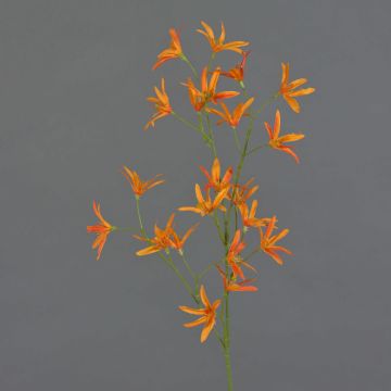 Decorative flower branch Tweedia solanoides PALLAS, orange, 70 cm, Ø 5 cm