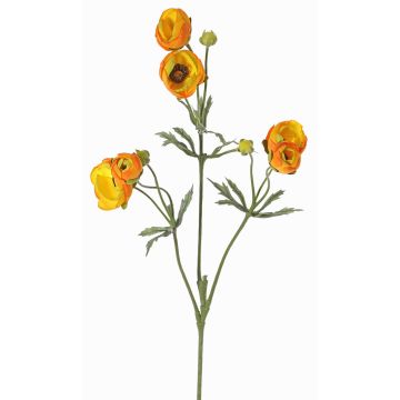 Velvet ranunculus YARIS, orange-yellow, 65cm, Ø3–4.5cm