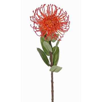 Artificial pincushion Protea BAILY, orange, 55cm, Ø10cm Artificial pincushion Protea BAILY, orange, 55cm, Ø10cm