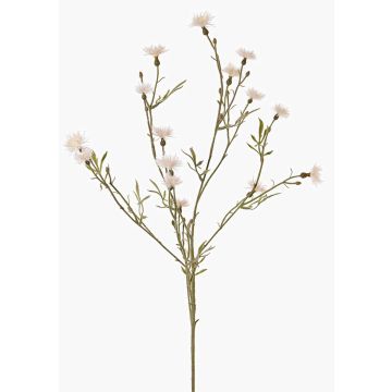ZENOBIOS decorative cornflower branch, cream, 80 cm, Ø 3–4 cm ZENOBIOS decorative cornflower branch, cream, 80 cm, Ø 3–4 cm