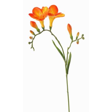 Decorative freesia ‘MARUSHA’, orange, 70 cm, Ø 6 cm Decorative freesia ‘MARUSHA’, orange, 70 cm, Ø 6 cm