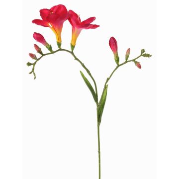 Decorative freesia ‘MARUSHA’, pink, 70cm, Ø6cm Decorative freesia ‘MARUSHA’, pink, 70cm, Ø6cm