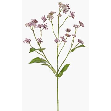 Artificial Eupatorium branch KORALIA, violet, 31"/80cm, Ø1.6"-2.8"/4-7cm Artificial Eupatorium branch KORALIA, violet, 31"/80cm, Ø1.6"-2.8"/4-7cm