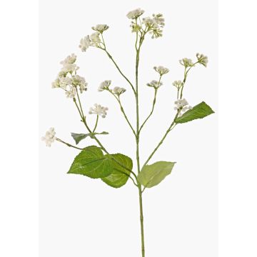 Artificial Eupatorium branch KORALIA, cream, 31"/80cm, Ø1.6"-2.8"/4-7cm Artificial Eupatorium branch KORALIA, cream, 31"/80cm, Ø1.6"-2.8"/4-7cm