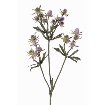 KALYPSO ornamental thistle branch, purple, 65cm, Ø3–4cm KALYPSO ornamental thistle branch, purple, 65cm, Ø3–4cm