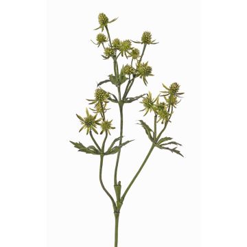 Decorative KALYPSO thistle branch, green, 65 cm, Ø 3–4 cm Decorative KALYPSO thistle branch, green, 65 cm, Ø 3–4 cm