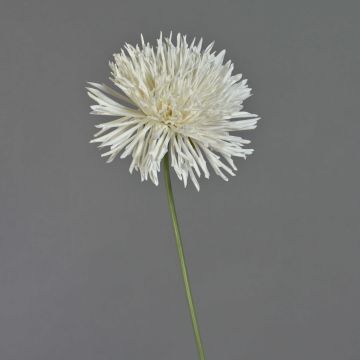 Artificial chrysanthemum NANDITA, white, 60cm, Ø15cm Artificial chrysanthemum NANDITA, white, 60cm, Ø15cm