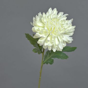 Artificial chrysanthemum DELPHINA, cream, 65cm, Ø14cm Artificial chrysanthemum DELPHINA, cream, 65cm, Ø14cm