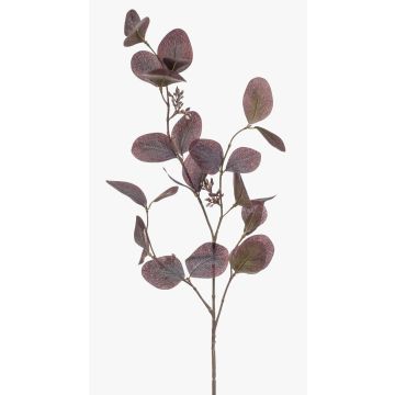Decorative eucalyptus branch MAXEN with berries, purple-grey, 75cm