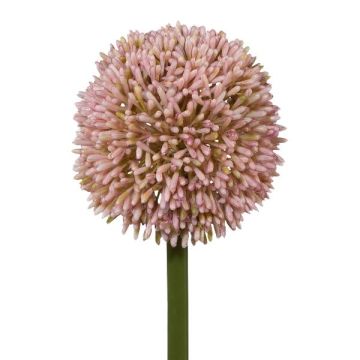 Artificial flower Allium MENKES, pink, 26"/65cm