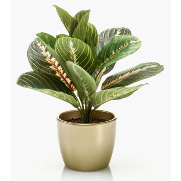 Artificial arrowroot plant SITULA in a gold ceramic pot, green-red, 30cm