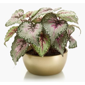 Artificial plant: KATRICE leaf begonia in a gold ceramic bowl, violet-green, 10"/25cm Artificial plant: KATRICE leaf begonia in a gold ceramic bowl, violet-green, 10"/25cm