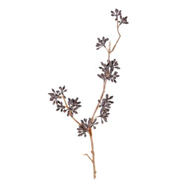 Artificial eucalyptus branch SOHA with fruit, dark brown, 60 cm Artificial eucalyptus branch SOHA with fruit, dark brown, 60 cm