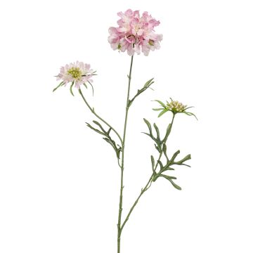 Artificial scabiosa branch MARUA, pink, 80cm Artificial scabiosa branch MARUA, pink, 80cm