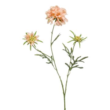 Artificial scabiosa branch MARUA, peach, 80cm Artificial scabiosa branch MARUA, peach, 80cm