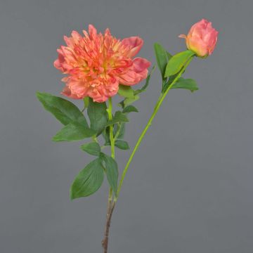 Artificial peony BADIS, coral, 75cm, Ø13cm Artificial peony BADIS, coral, 75cm, Ø13cm