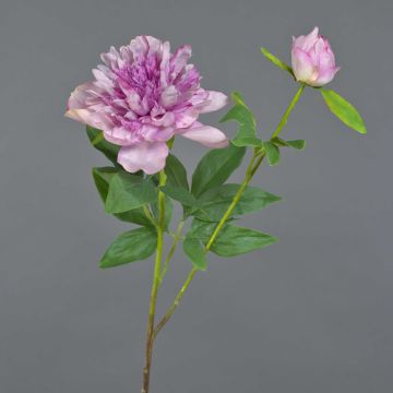 Artificial peony BADIS, purple, 75cm, Ø13cm Artificial peony BADIS, purple, 75cm, Ø13cm