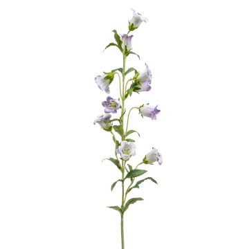 Artificial flower: AIMI bellflower, light lilac and white, 90 cm, Ø 3–5 cm Artificial flower: AIMI bellflower, light lilac and white, 90 cm, Ø 3–5 cm