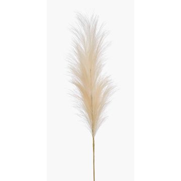 Artificial plant: Pampas grass panicle, AMATSIA, cream, 115 cm Artificial plant: Pampas grass panicle, AMATSIA, cream, 115 cm