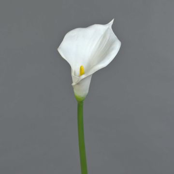 Artificial calla lily DAISCHI, white, 70 cm, 11 x 14 cm