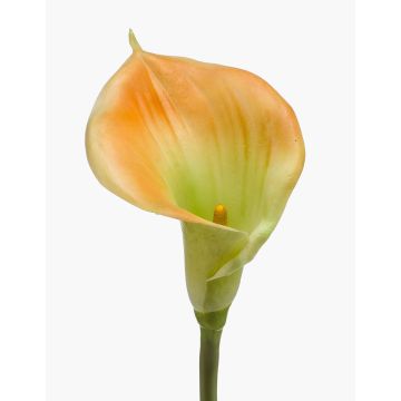 Artificial calla lily DAISCHI, yellow-green, 70cm, 11x14cm