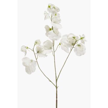 Decorative artificial sweet pea KANZI, white, 75cm, Ø4–7cm