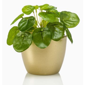 Artificial succulent ‘Chinese money plant’ SYBIL in a gold ceramic pot, green, 13cm