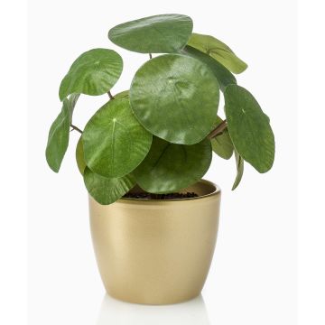 Artificial succulent ‘Chinese money plant’ SYBIL in a gold ceramic pot, green, 20cm